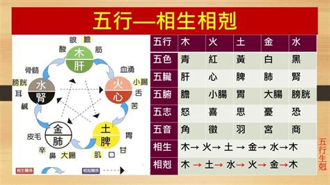 金剋木化解|金剋木如何化解？水生木助五行相生 